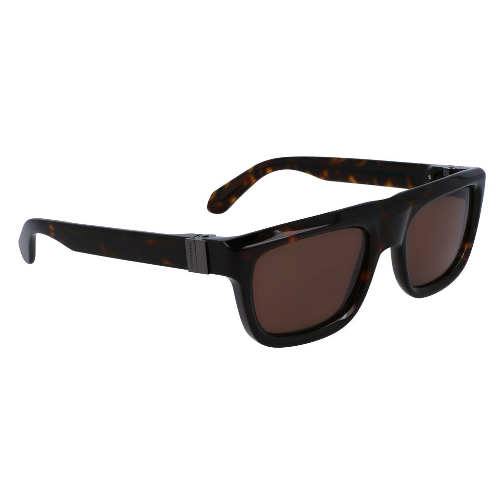 Brown Synthetic Acetate Sunglasses by Ferragamo