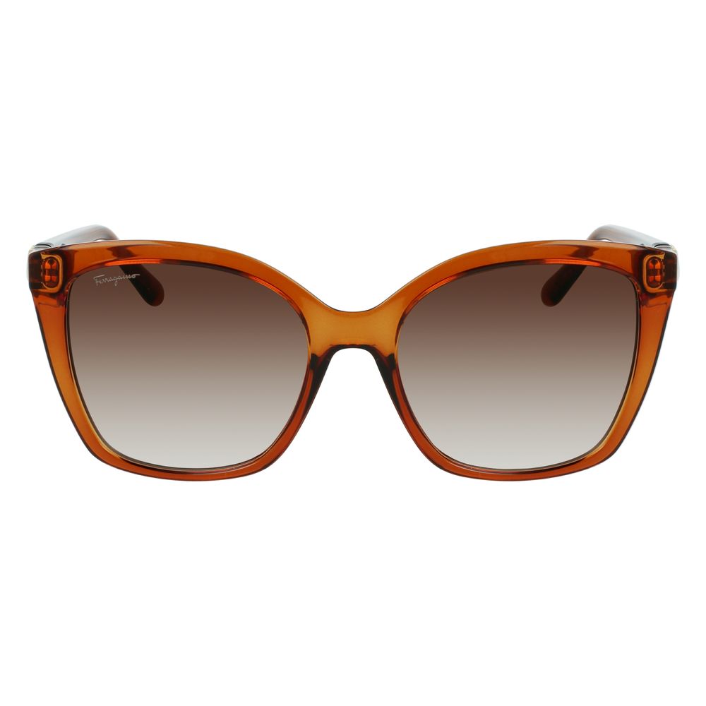 Brown Synthetic Sunglasses by Ferragamo