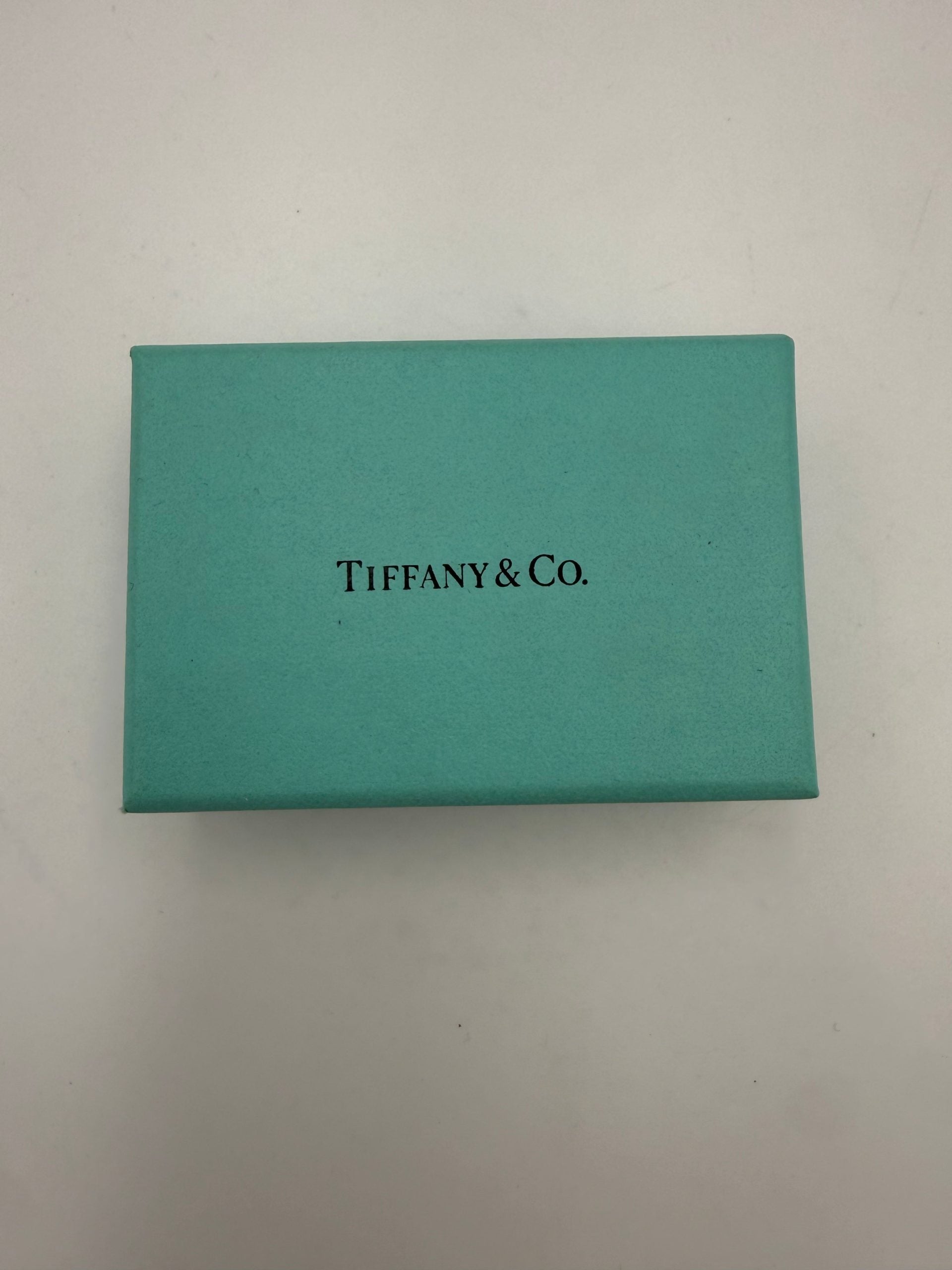 TIFFANY & CO. Silver Bracelet with Double Chain