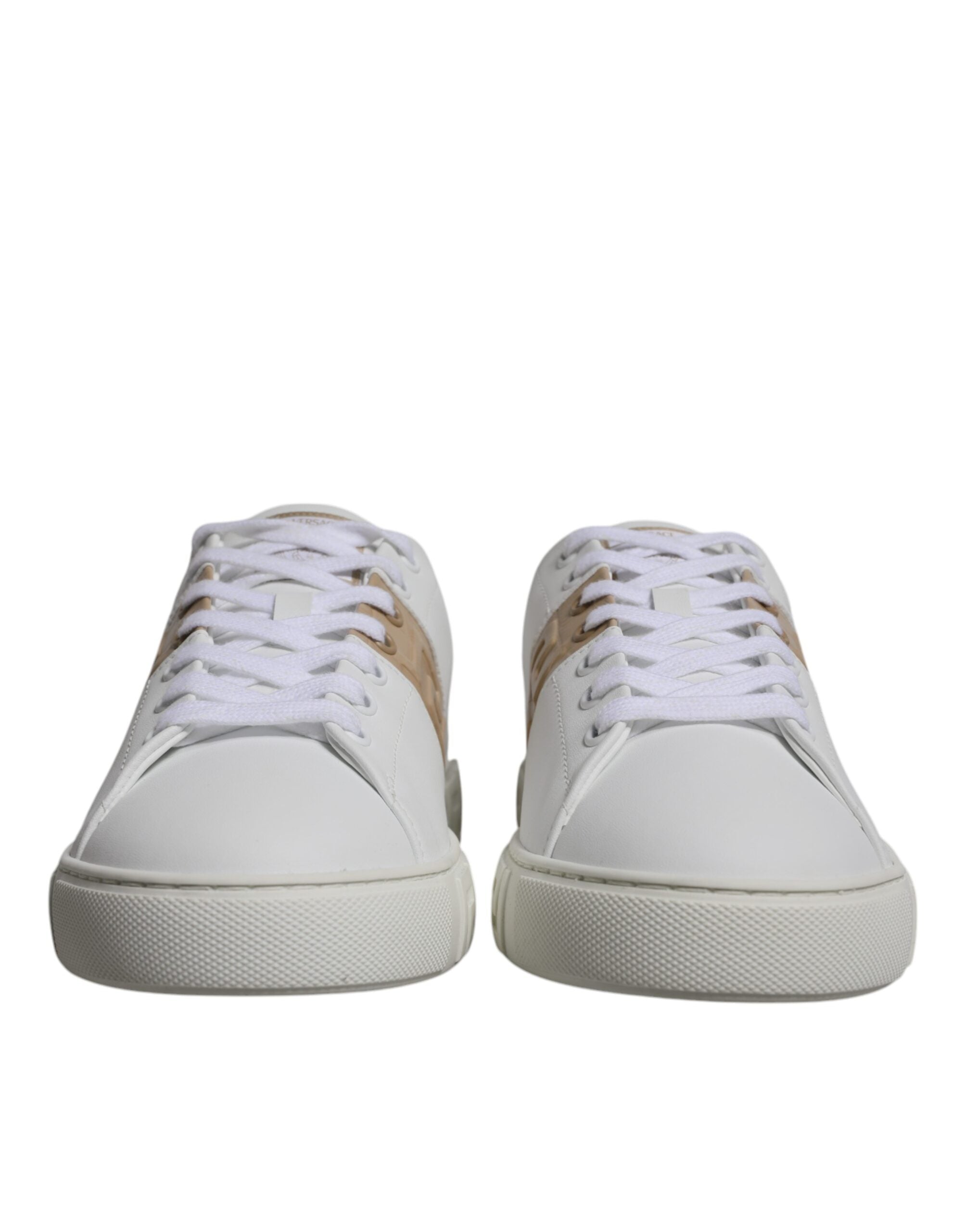 Baskets basses pour hommes en TPU imprimé Greca blanc et marron