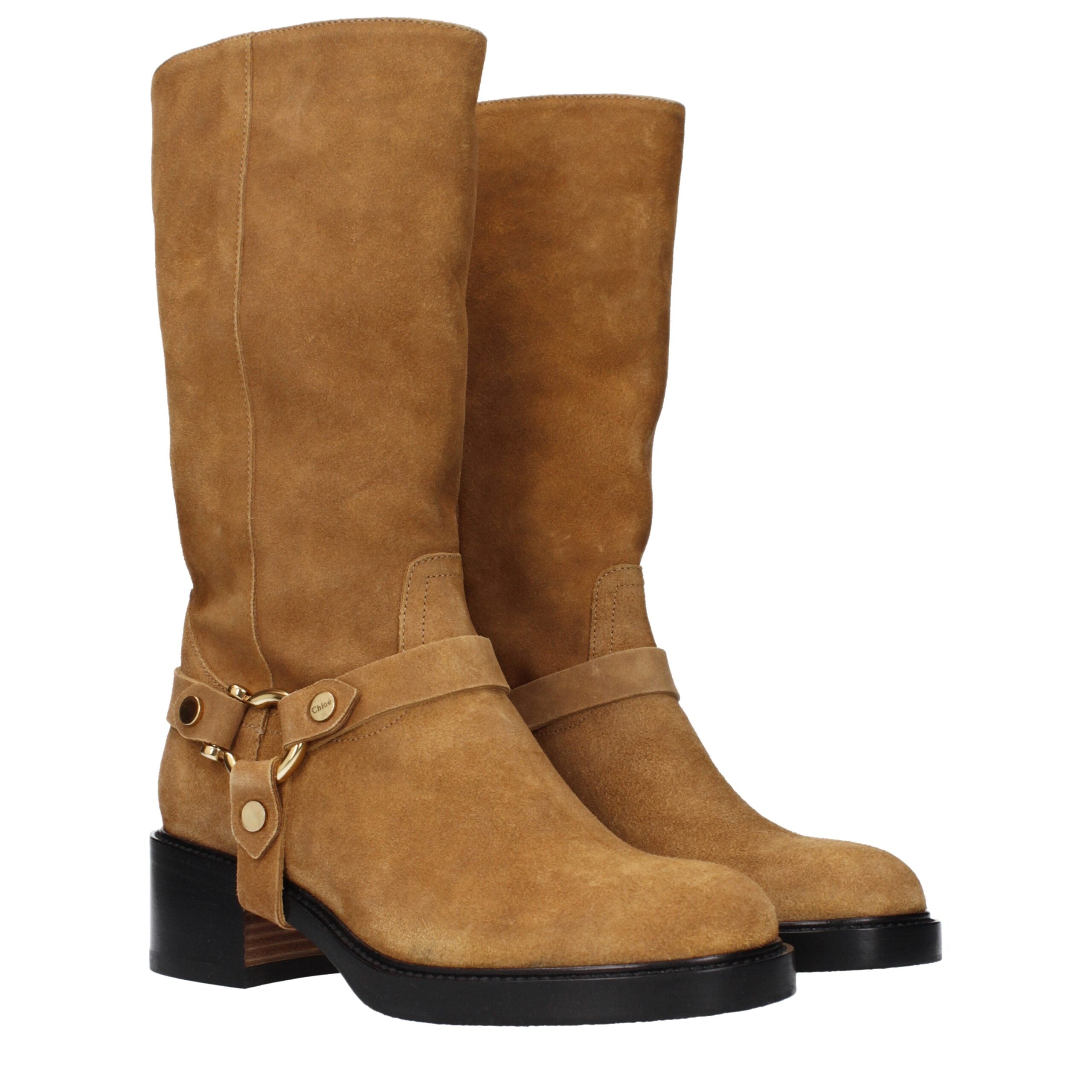 Brown Leather Ankle Boots with Side Logo Detail by Chloé