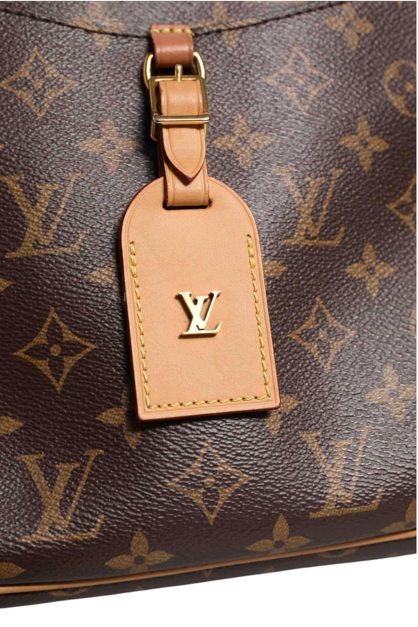 Brown Leather Monogram Canvas Odeon PM Crossbody Bag