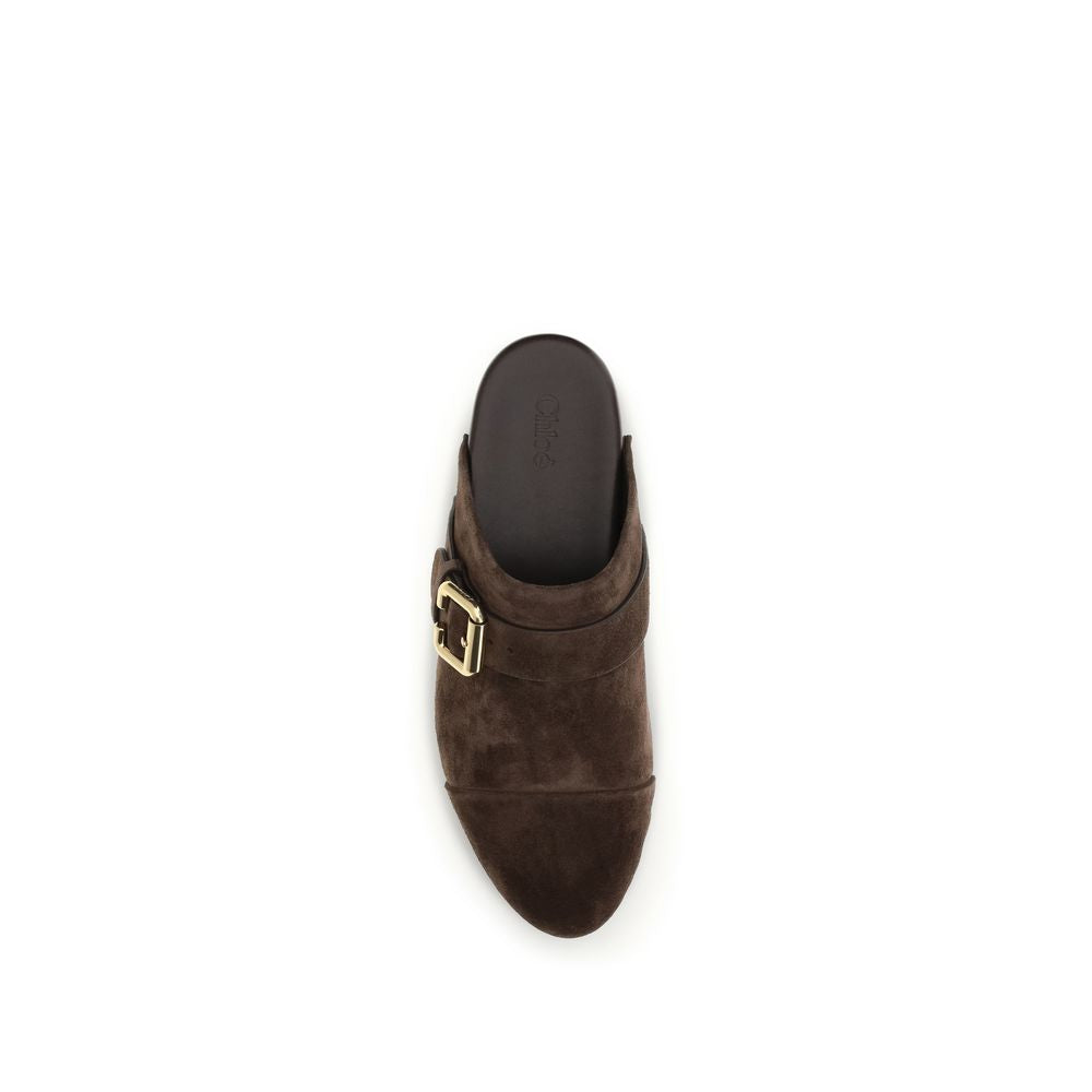 Brown Leather Clog Mules with Wooden Wedge and Buckle