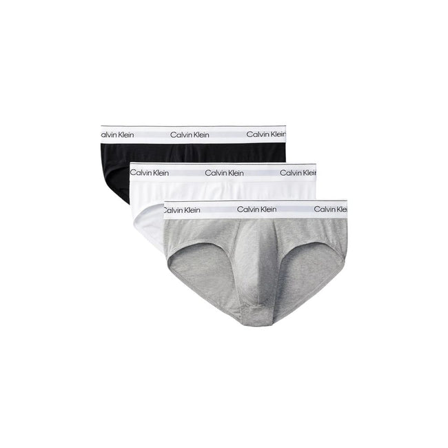 Gray Cotton BriefsExperience timeless comfort and style with the Calvin Klein Underwear HIP BRIEF 3-pack for men. Crafted from high-quality materials, consisting of 95% cotton and 5% elastane/lycra, these briefs provide a perfect fit and optimal support.