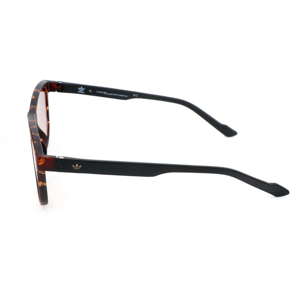 Havana Synthetic Sunglasses with Gradient Brown Lens