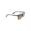 Black Plastic Men SunglassDiscover the epitome of sleek sophistication with these Calvin Klein sunglasses, crafted for the fashion-forward individual. Featuring a robust, square frame, these shades boast a commanding presence. The rich brown lenses not on