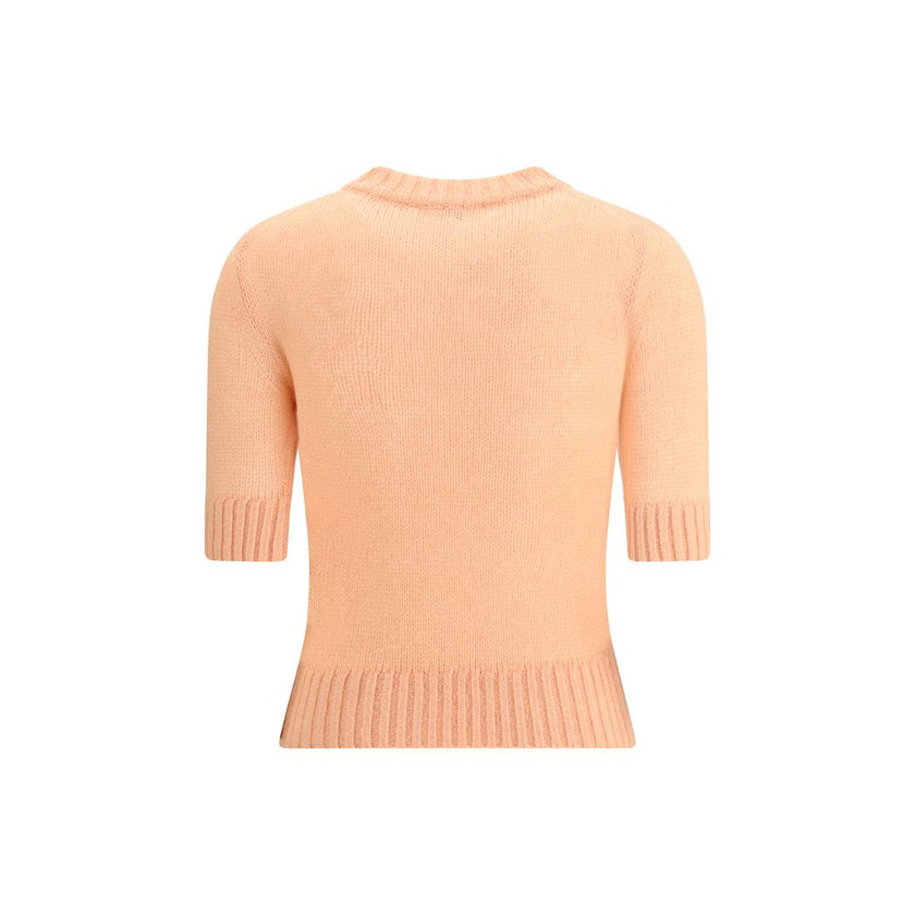 Logo wool SweaterChloé’s Logo wool Sweater is a luxurious piece that combines comfort with recognizable style. It features a classic crew neck and elbow-length sleeves, made from a fine alpaca wool-silk knit that ensures exceptional softness and a smooth