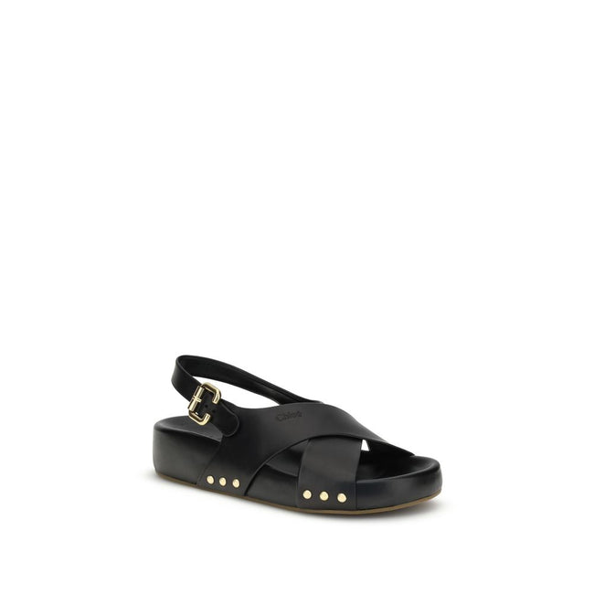 Mae SandalsThe Mae Sandals by Chloé, crafted from smooth calfskin, combine elegance and comfort thanks to the anatomical insole designed to last all day. The upper is characterized by crossed straps and an adjustable ankle strap, secured by the iconic Pad