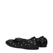 Black Leather Ballet FlatsDescription: The product with MPN CHC24A03QMH001 and code F84743 leather in black is a ballet flats designed by Chloé. It has features like studs.Black Leather Ballet Flats${tagsChloéAulae Black Leather Ballet Flats ChloéAulae Bl