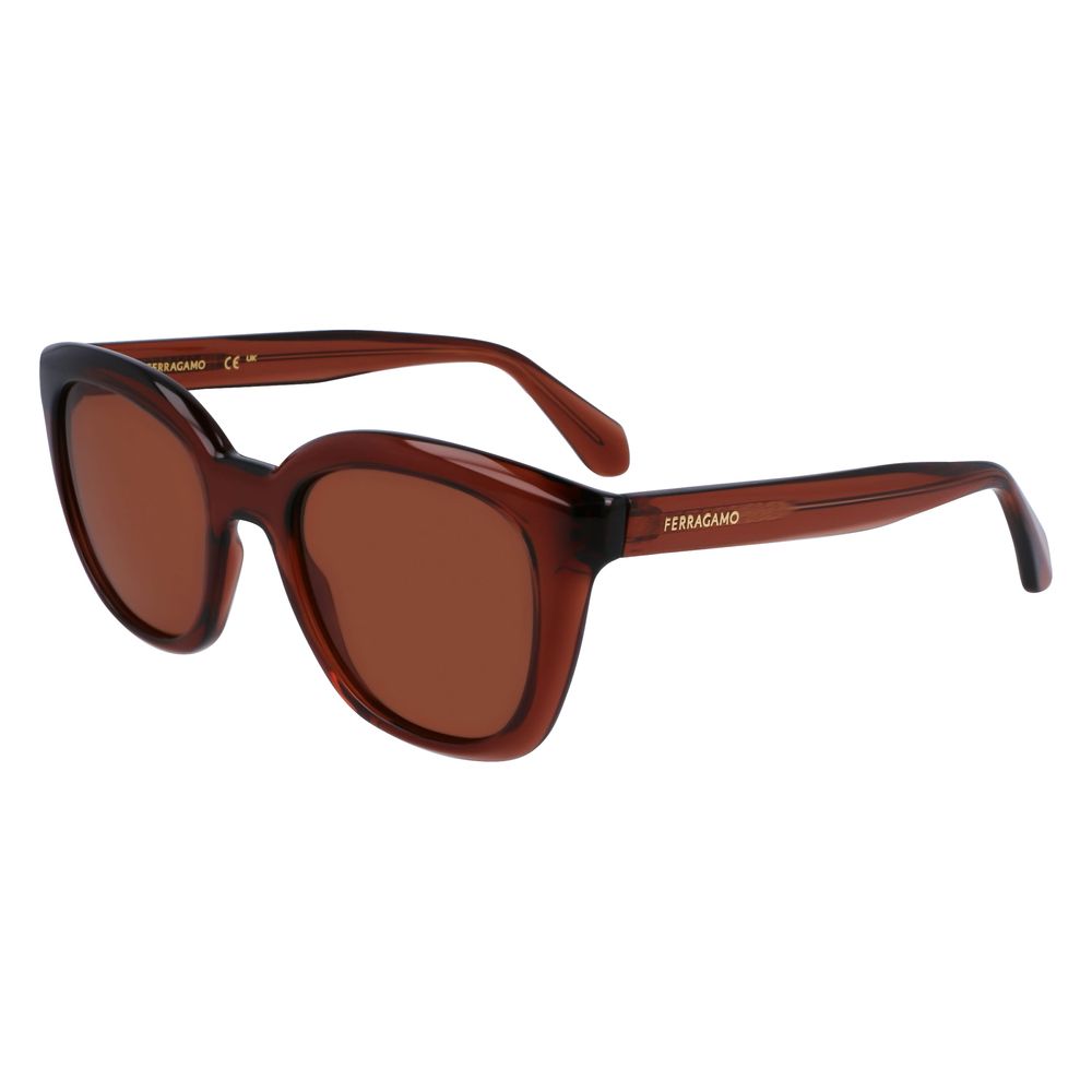 Brown Synthetic Sunglasses by Ferragamo