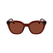 Brown Injected Sunglasses