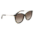 Brown Acetate Sunglasses